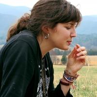 DTF & Perfect Wife to Host Caroline Rose in Concert, 4/25