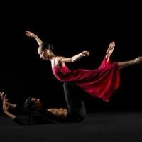 BWW Reviews: DANCE THEATRE OF HARLEM is Magnificent at City Center Video