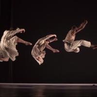 Virginia Arts Festival to Welcome Dance Theatre of Harlem & Richard Alston Dance Comp Video