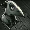 New Clip: Frankenweenie - In Theaters October 5th, 2012 Video