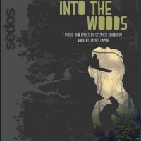 Stephen Sondheim's INTO THE WOODS Plays Bridewell Theatre, Now thru April 12 Video