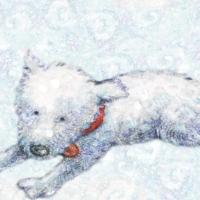 Brightline Interactive Launches Snowflake e-Book