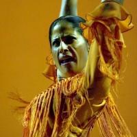 Forever Flamenco! Plays Added SOLEANGELES Performance at Fountain Theatre Tonight Video