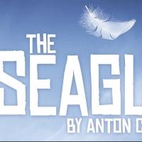 The Chekhov Collection Brings THE SEAGULL to Toronto, Now thru 3/23 Video