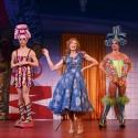 Photo Flash: First Look at Wade McCollum, Scott Willis and More in PRISCILLA QUEEN OF Video