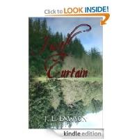 Texas Author Releases JUST A CURTAIN Video