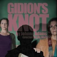 BWW Reviews: GIDION'S KNOT a Visceral, Fierce Look at Bullying and Child Suicide Video