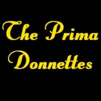 The Prima Donnettes, TOO DARN HOT and More Set for FST's 2013-2014 Cabaret Season Video