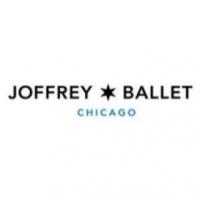 Sarai Hoffman Joins Joffrey Ballet as New Chief Development Officer Video