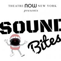 2014 SOUND BITES Musical Finalists Announced Video