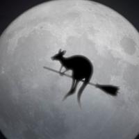 No Tricks. Just Treats, Mates!