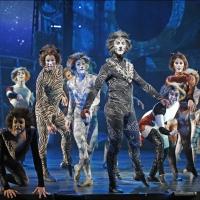 Photo Flash: CATS Opens Tonight at the Paramount Theatre in Aurora Video