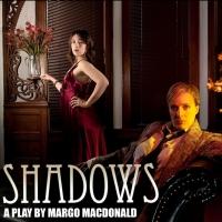 SHADOWS Opens Today at Videofag Video