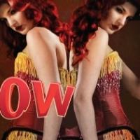 First Listen of La Jolla Playhouse's SIDE SHOW; La Jolla Playhouse Announces…