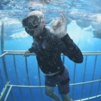 Sneak Peek - Nat Geo Wild's ALOHA VET Goes Swimming with the Sharks Tonight