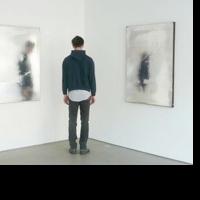 BWW Reviews: Carissa Rodriguez 'La Collectionneuse' at Front Desk Apparatus