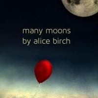 Alice Birch's MANY MOONS Makes US Debut at Common Ground Tonight Video