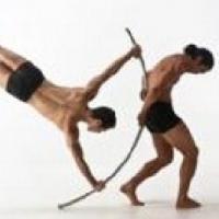 Pilobolus Dance Company and Much More Set for Mayo Performing Arts Center, April 2013 Video