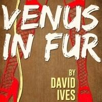 BWW Reviews: VENUS IN FUR Produced from Passion