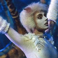 CATS Coming to Sydney's Capitol Theatre, Beginning 10/30 Video