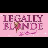 LEGALLY BLONDE THE MUSICAL Plays Diamond Head Theatre, Now thru 8/4 Video