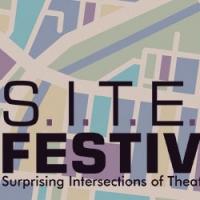 TIC at Northwestern University Co-Presents Inaugural SITE Festival, Now thru 6/8