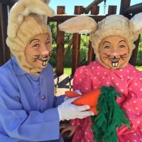 THE TALE OF PETER RABBIT Plays Artscape Theatre Foyer, Beginning Today Video