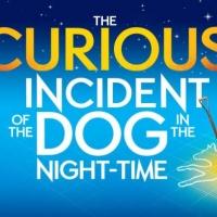 West End-Hit 'THE CURIOUS INCIDENT of the Dog in the Night-Time' am Donnerstag in deutschen Kinos