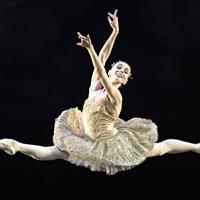 Cast Announced for ABT's 2013 Spring Season at Met Opera House, Beg. 5/13 Video