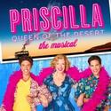 PRISCILLA QUEEN OF THE DESERT Comes to the Orpheum, January 8-13 Video