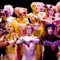 Photo Flash: First Look at Theatre by the Sea's CATS, Now Through 7/13