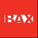 Brooklyn Arts Exchange Announces 2013 BAX Arts & Artists in Progress Award Nominees Video