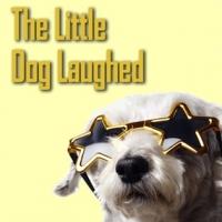 THE LITTLE DOG LAUGHED Plays Silver Spring Stage, Now thru 6/8 Video