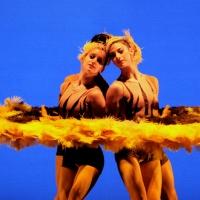 Marin Center Presents MOMIX-BOTANICA Tonight Video