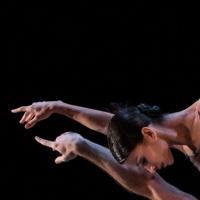 BWW Reviews: Houston Ballet Transcends in FROM HOUSTON TO THE WORLD
