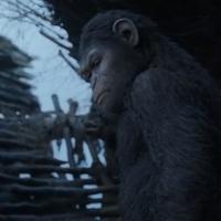 VIDEO: New Behind-the-Scenes PLANET OF THE APES Featurette Video
