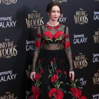 Photo Coverage: All of the INTO THE WOODS Red Carpet Fashions! Video