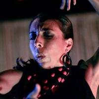Forever Flamenco! Celebrates the Holidays with Caminos Flamencos in FIESTA NAVIDAD To Video