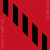 Boys Noize Announces Strictly Raw Vol. 1 Double Vinyl Release & North American BNR10Y Video