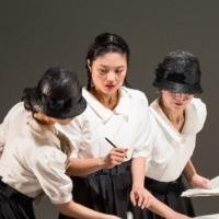 BWW Review:  ZERO HOUR: TOKYO ROSE'S LAST TAPE, an Intriguing Abstract Piece