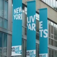 Ellen Robbins, ZviDance and More Headline New York Live Arts' 2014 THEATER ACCESS PRO Video