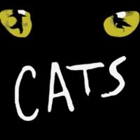 BWW Reviews: CATS Still Fills Theatres After Thirty-Four Years Video