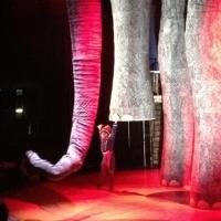 BARNUM: Life In The Circus! Video