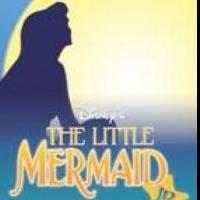 Lizzie Medlin to Star in Piedmont Players' THE LITTLE MERMAID, JR.; Full Cast Announc Video