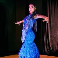Fountain Theatre and Forever Flamenco! Present CELEBRACIONES FLAMENCAS, Now thru 7/27 Video