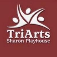Justin Ball Named New Managing Director of TriArts Sharon Playhouse Video