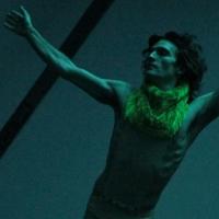 BWW Reviews: VEAL by Harrison Atelier at the Invisible Dog Video