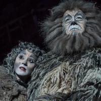 CATS Coming to Marlowe Theatre, 16-28 June Video