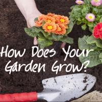 Stories on Stage to Present HOW DOES YOUR GARDEN GROW? with Special Guest Kathleen Ch Video