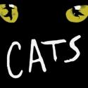 Actors' Playhouse Pre-Professional Youth Campers Present CATS, 8/10 & 11 Video